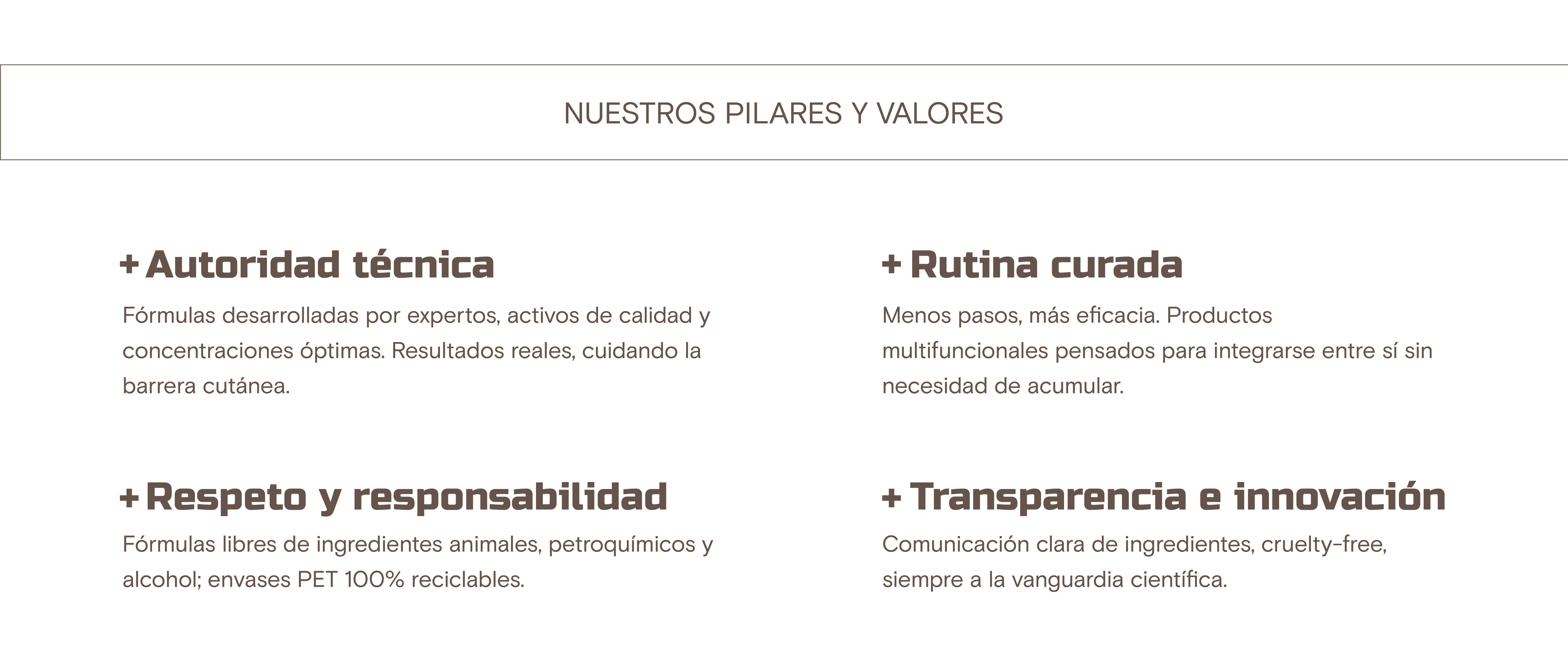 Nuestros pilares y valores - Blumer