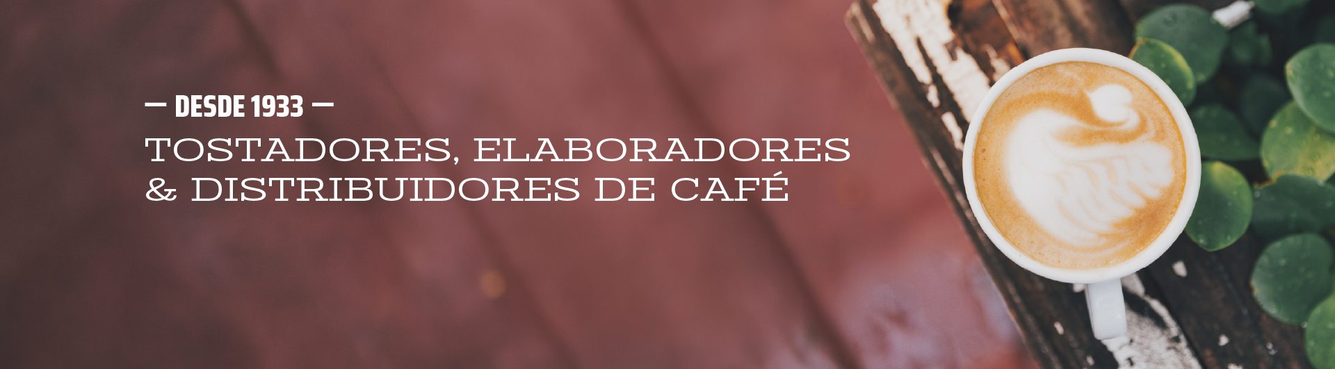 Somos expertos en café