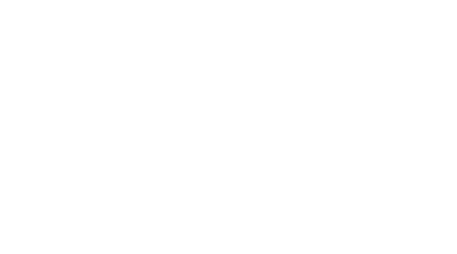 APJ COMERCIO DE ALIMENTOS E BEBIDAS LTDA