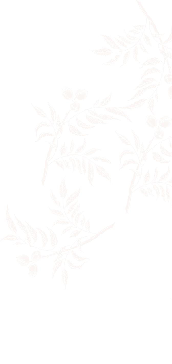 Background Decorativo