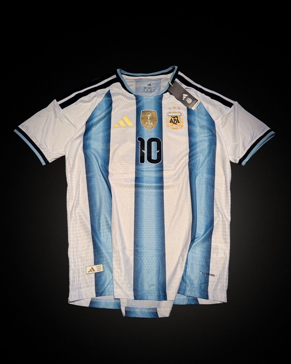 Camiseta Albiceleste importada dorsal 10 frente