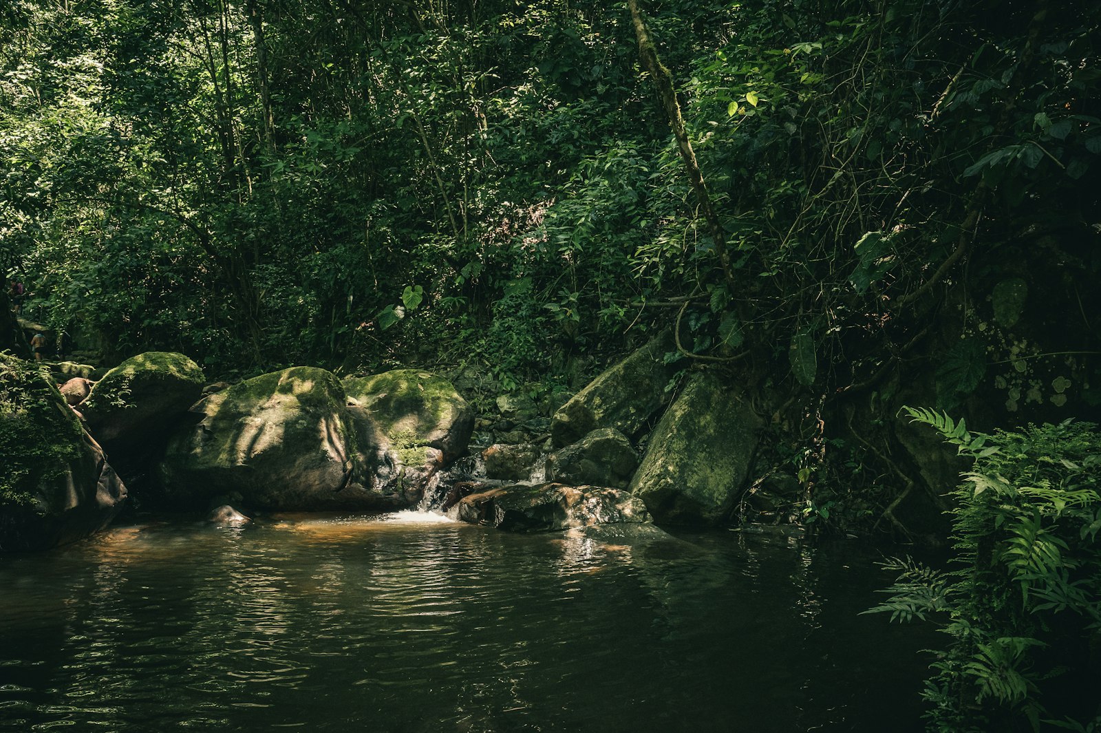 Sustentabilidade não é marketing — é nossa forma de operar