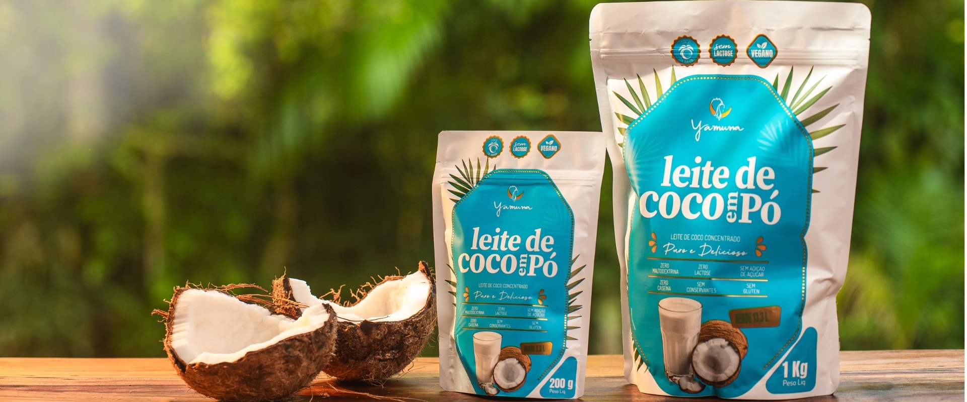 Leite de Coco em Pó 10