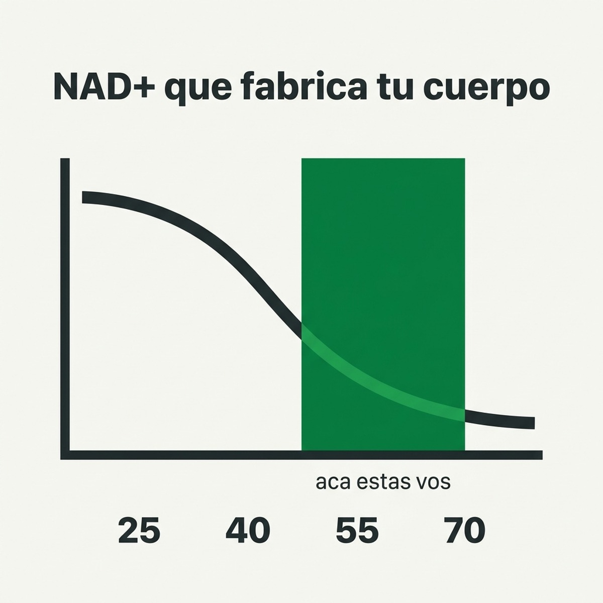 Grafico que muestra como baja la produccion de NAD+ con la edad, con una flecha senalando el tramo de los 45 a los 60 anos