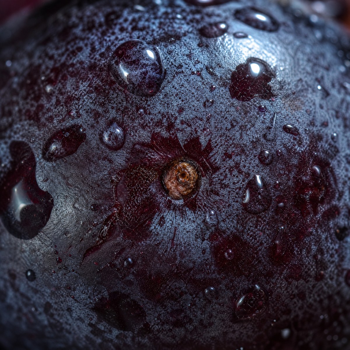 Black Seed Oil