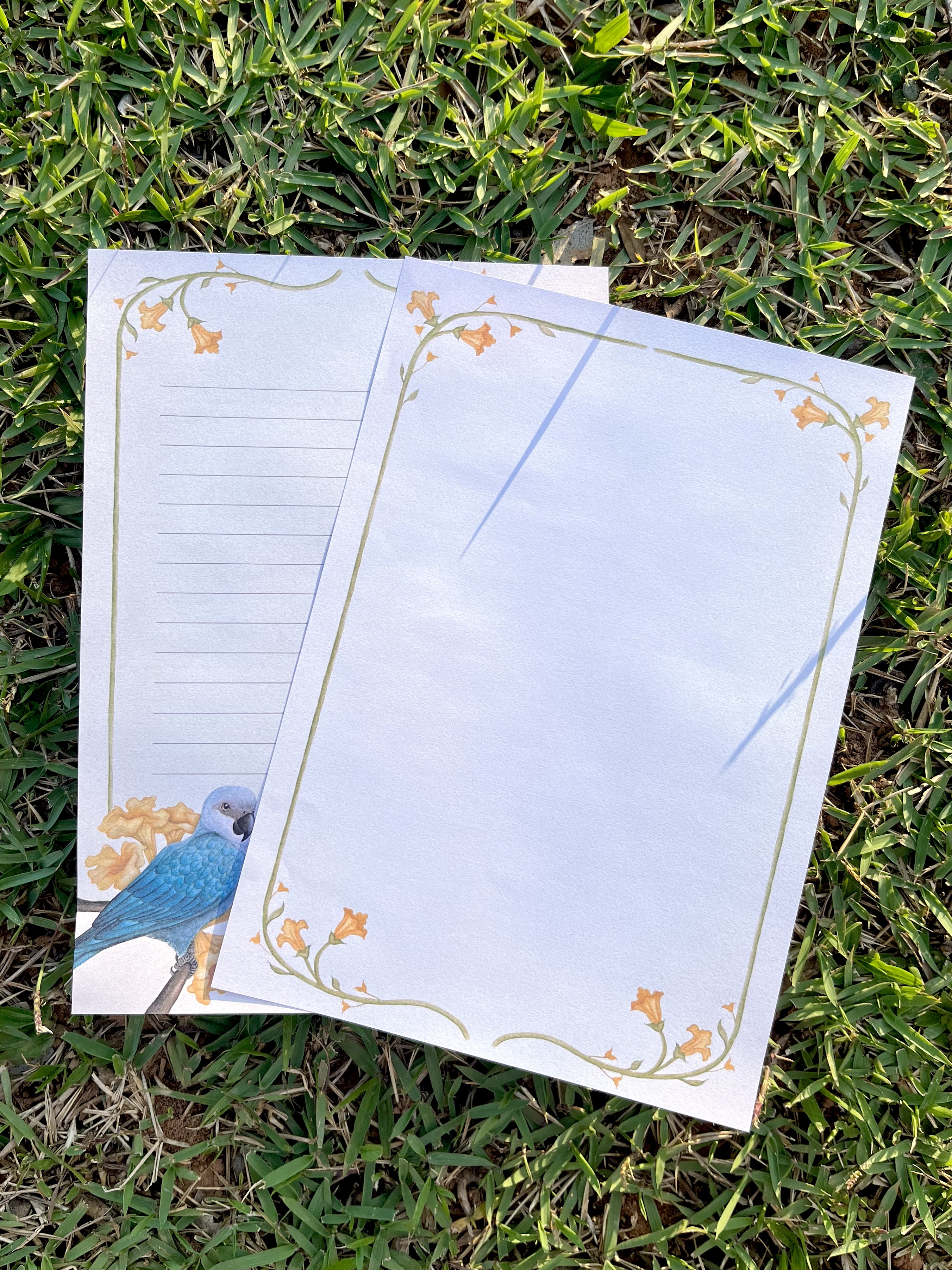 Papel de carta