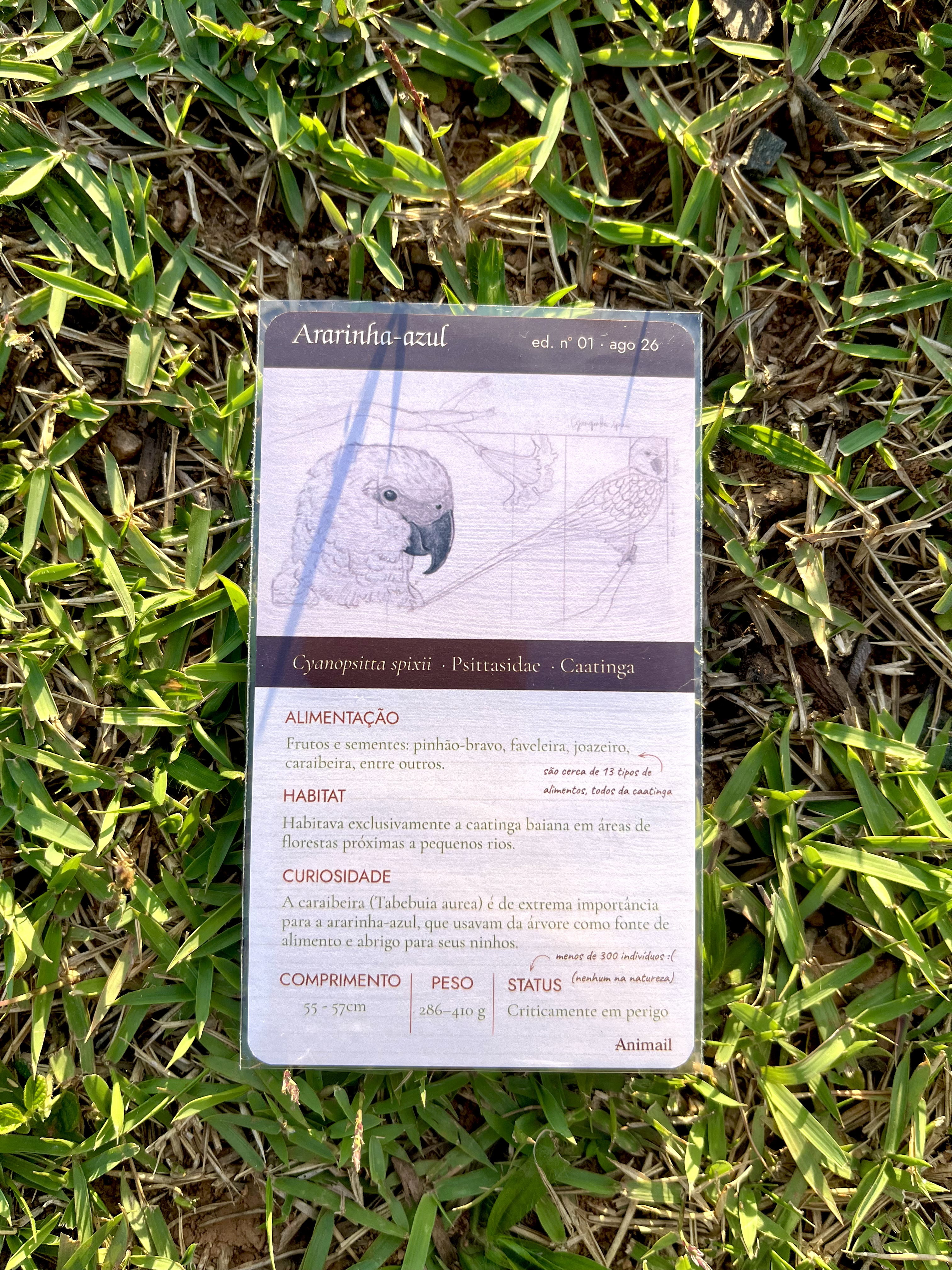 Card científico