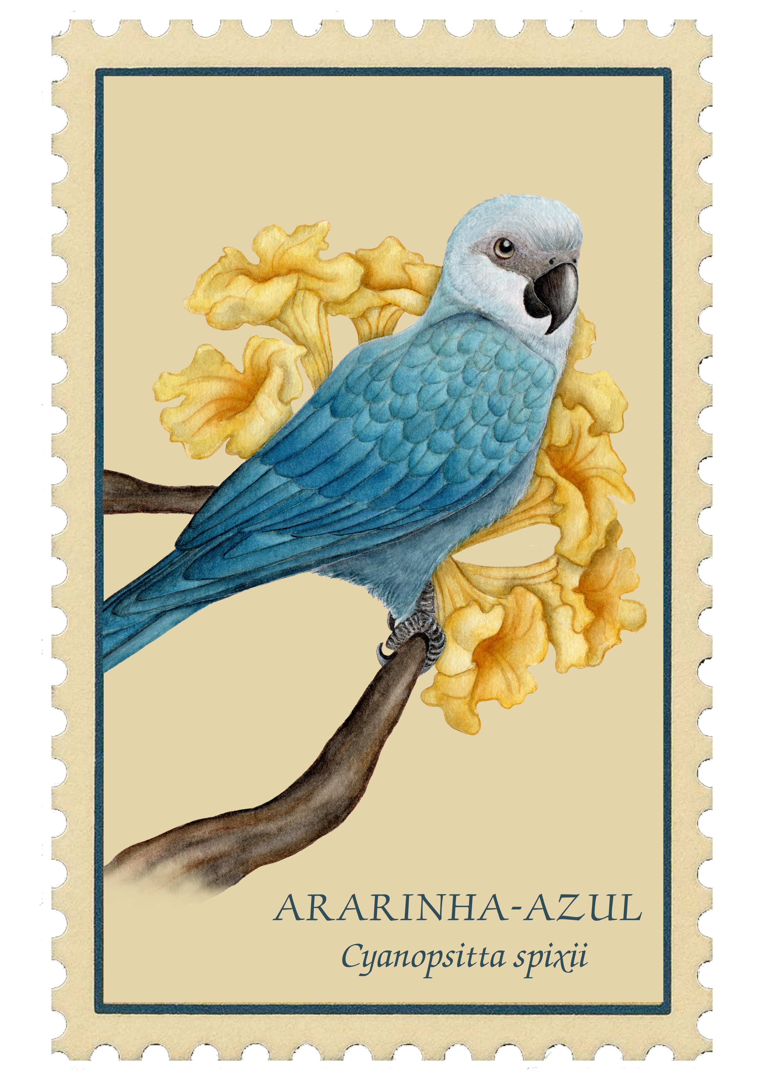 Ararinha-azul