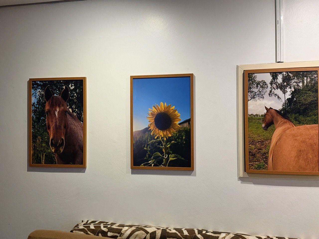 Foto de mariaeduardagheno854: quadros com cavalos e girassol