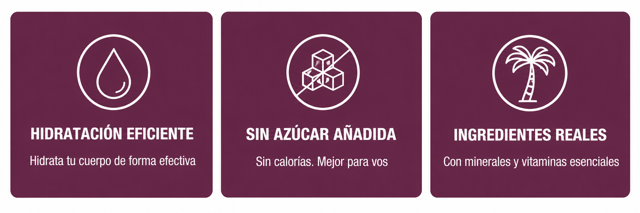 Hidratación eficiente · Sin azúcar añadida · Ingredientes reales