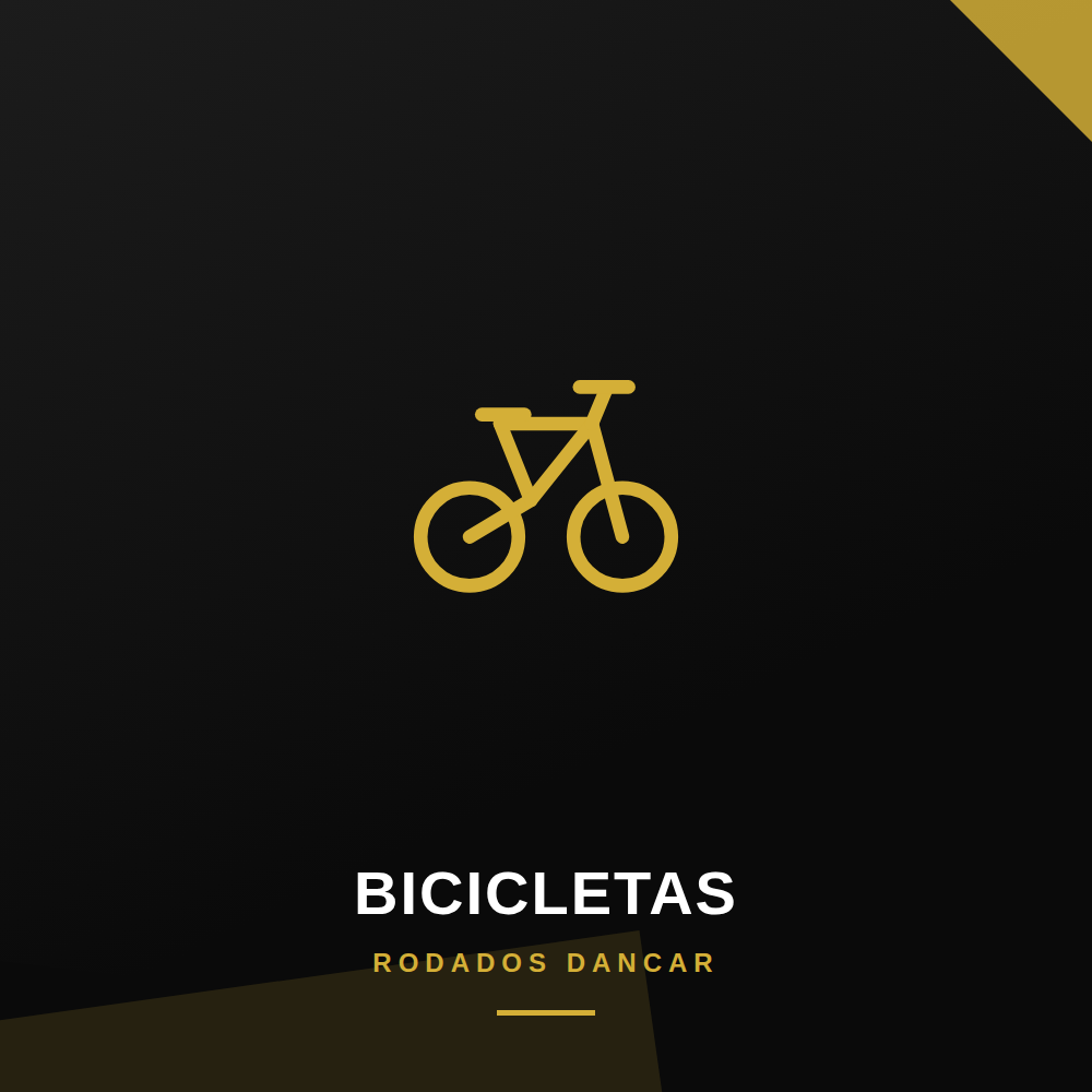 Bicicletas