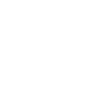 Dona Léa