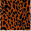  AREIA ANIMAL PRINT