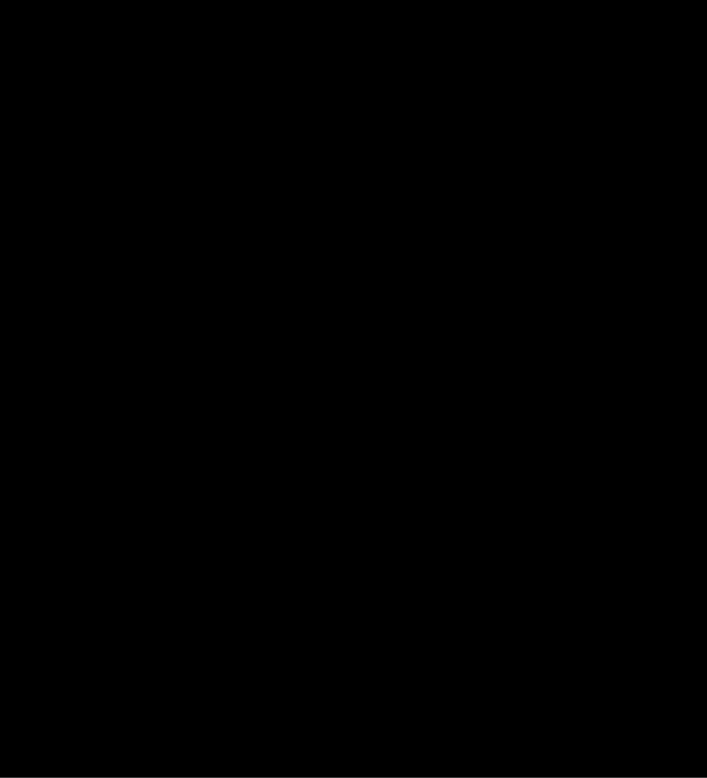  COTELE NEGRO