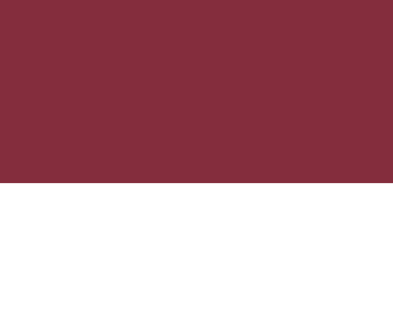  RAYAS BORDO