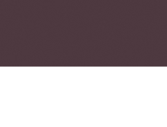 BIKINI FESTA RAYAS MARRON