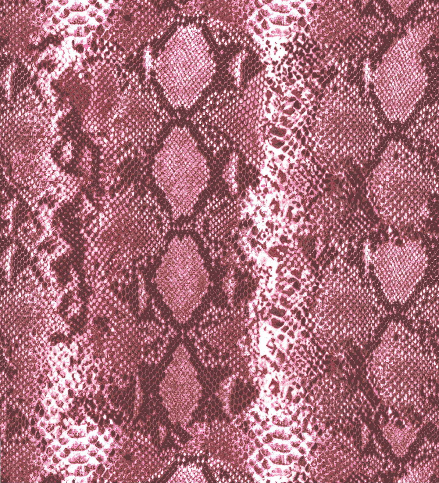  REPTIL ROSA