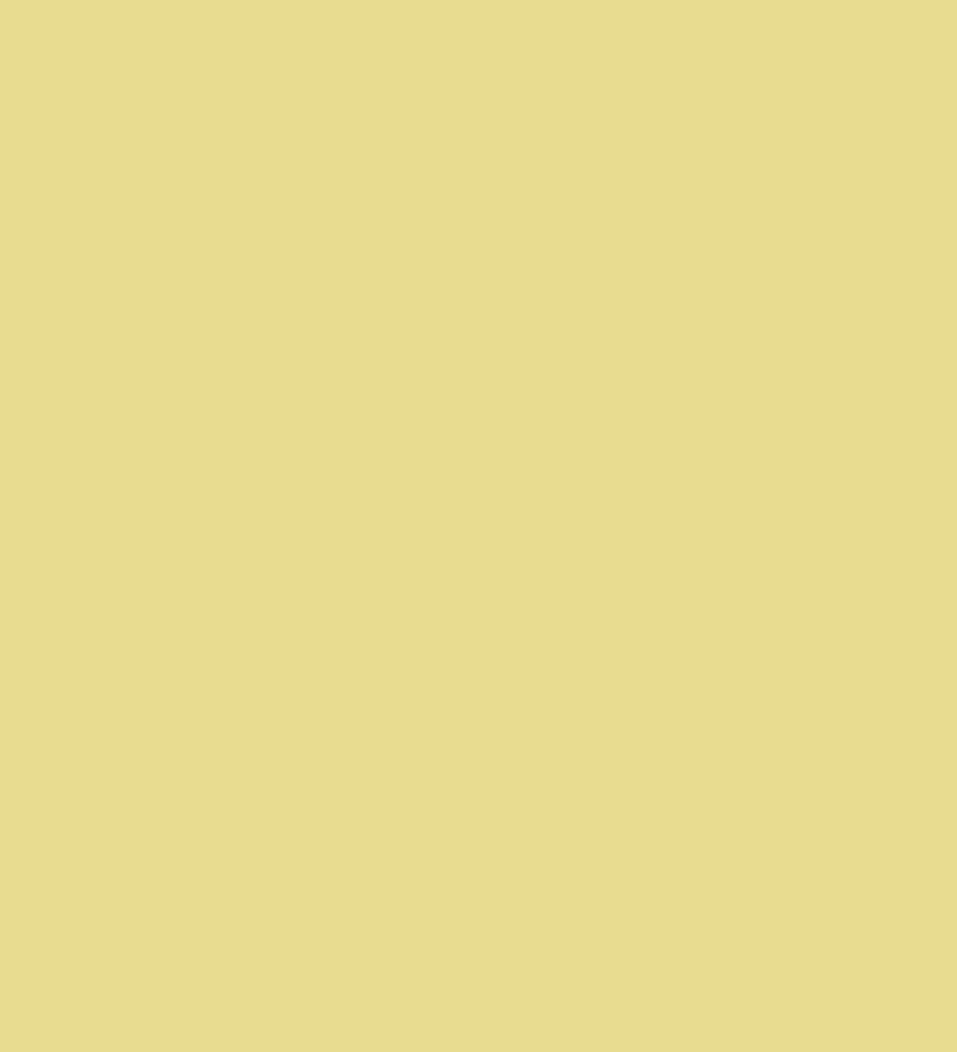  TEXTURA BUTTER