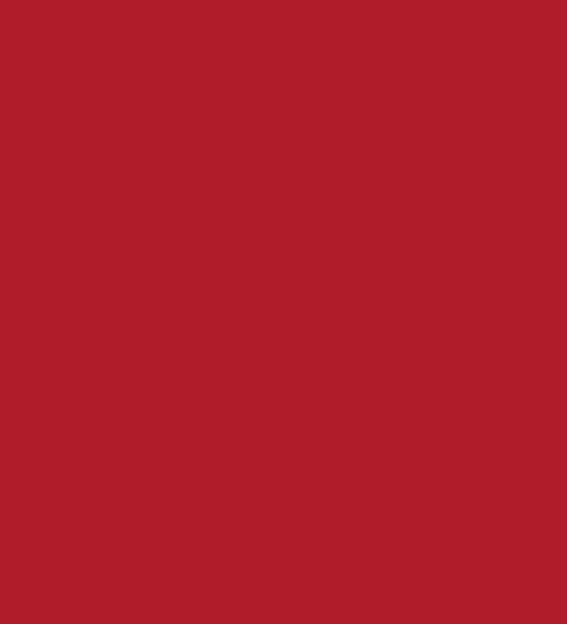  VORTEX ROJO