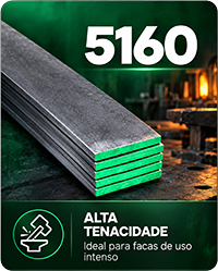 Aço 5160